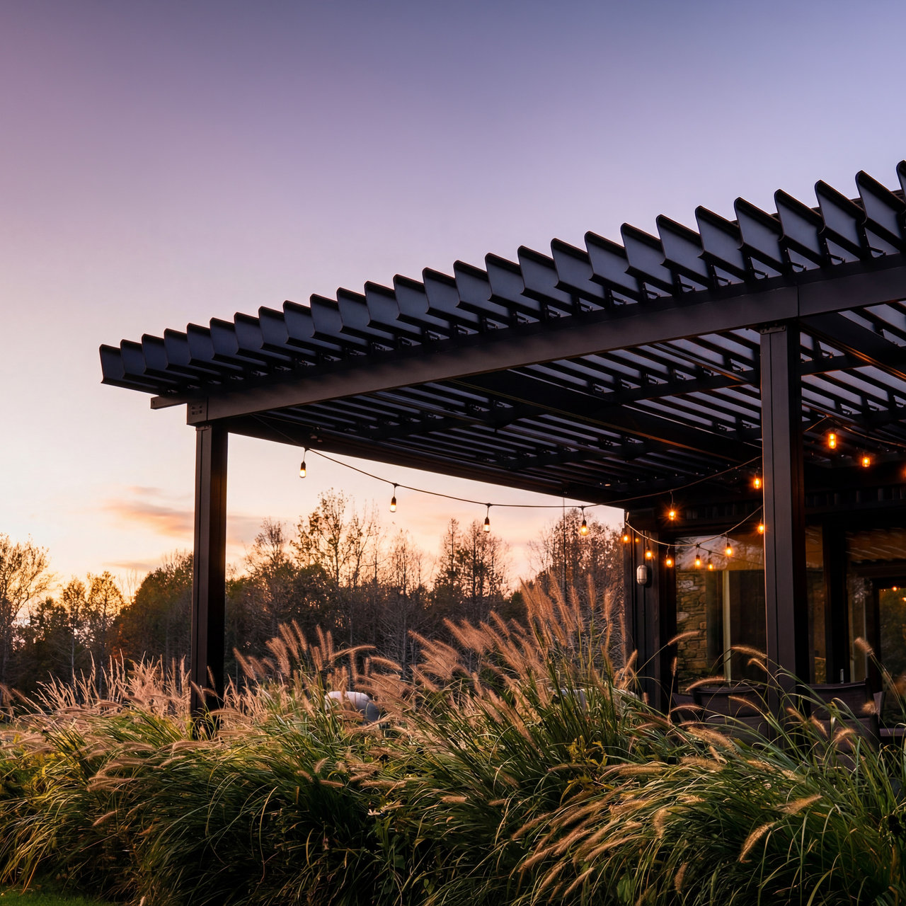 Ornamental grasses · dusk