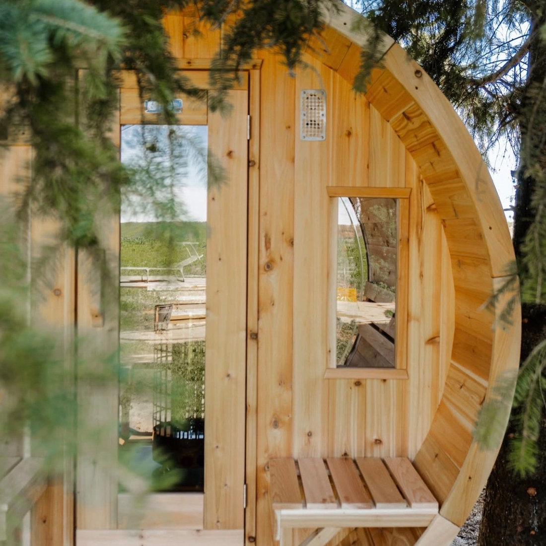 Cedar · pine border